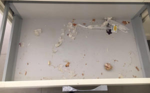 Drawer Before